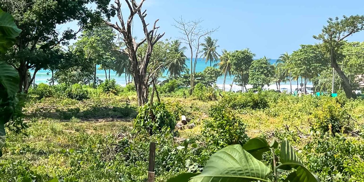 Prime Commercial Lot in Playa Carmen, Santa Teresa — photo