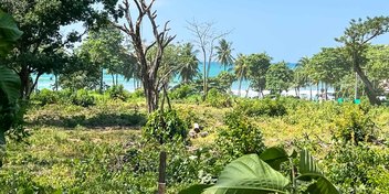 Prime Commercial Lot in Playa Carmen, Santa Teresa