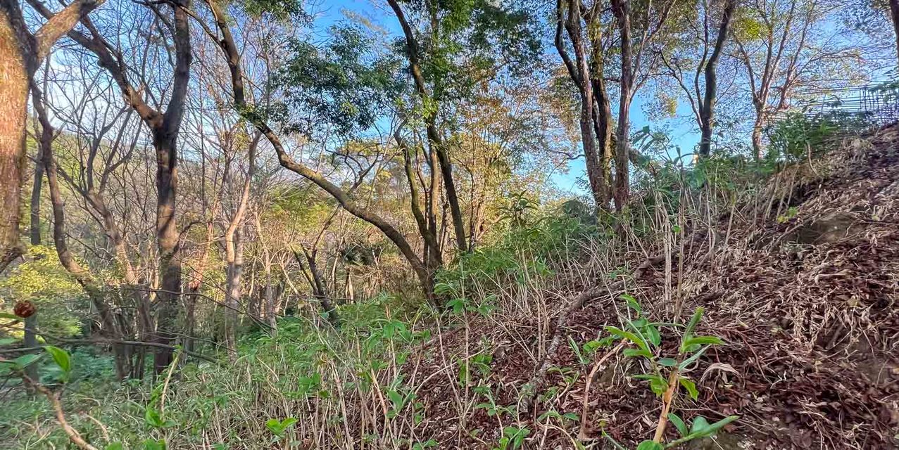 Land in the Hills of Santa Teresa — photo