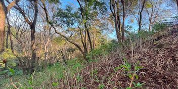 Land in the Hills of Santa Teresa