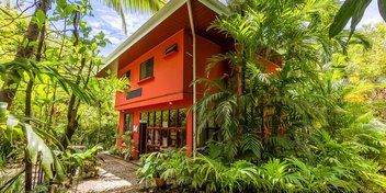 Butterfly Land and Restaurant in Montezuma