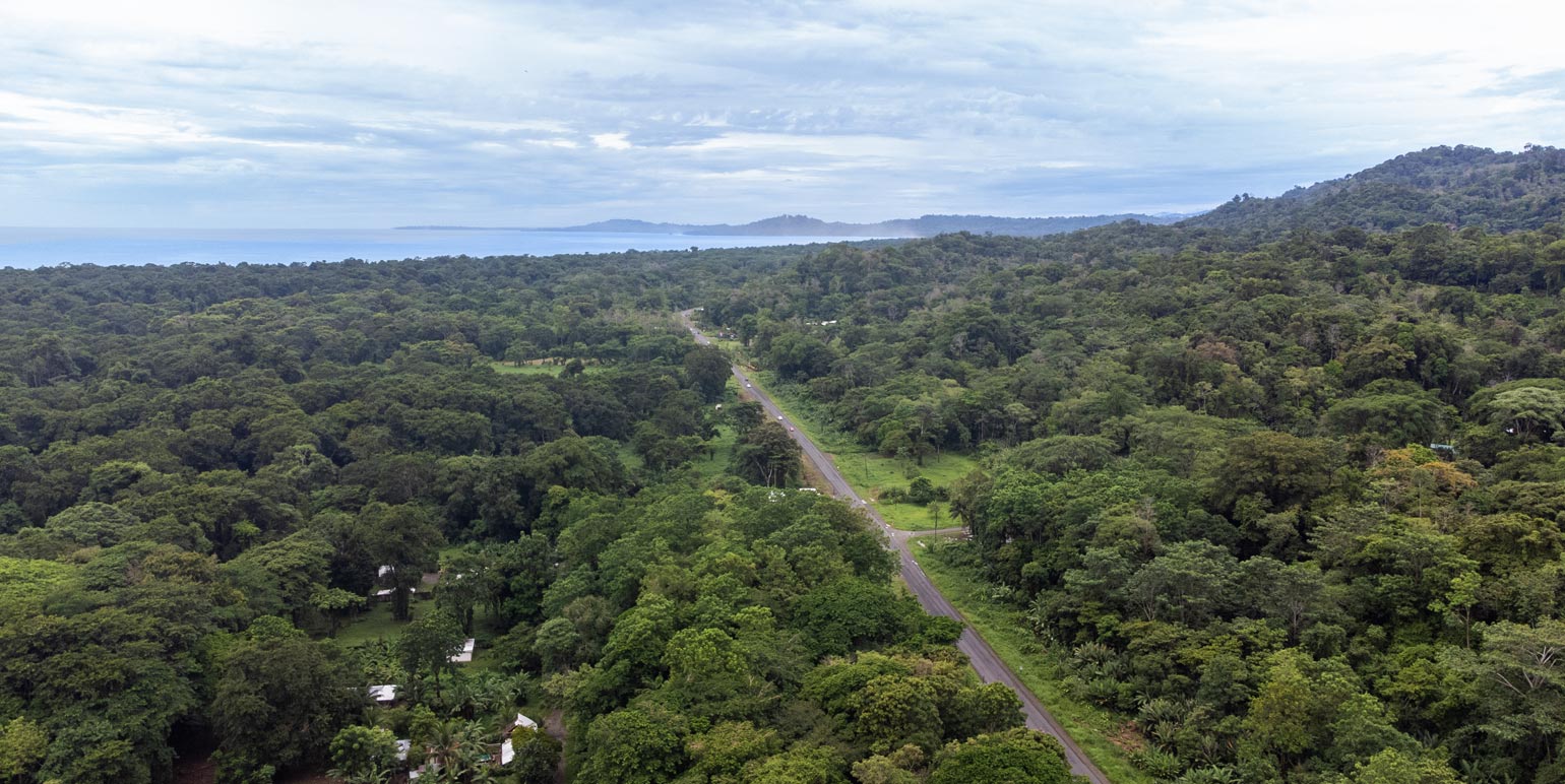 Hone Creek, Limón