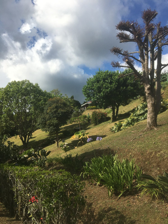Propiedad en San José de la Montaña