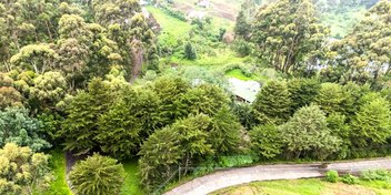 Dream Land in the Mountains of Dota
