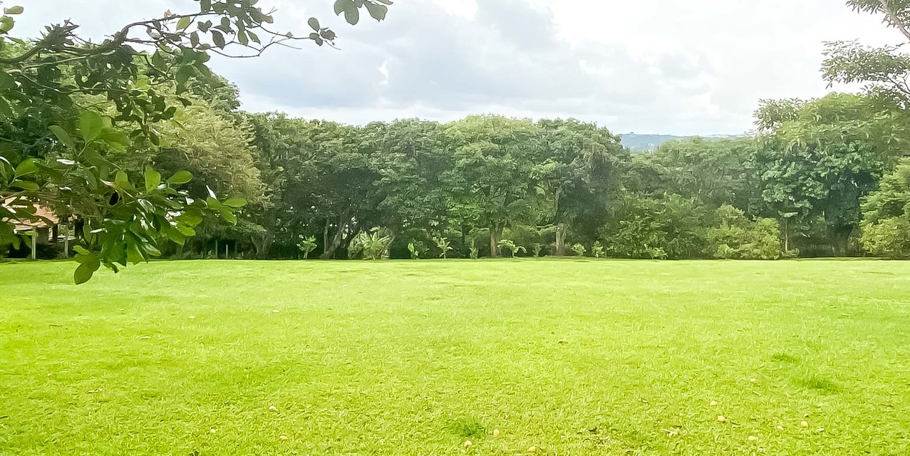 Property for Development in Cacao de Alajuela — photo