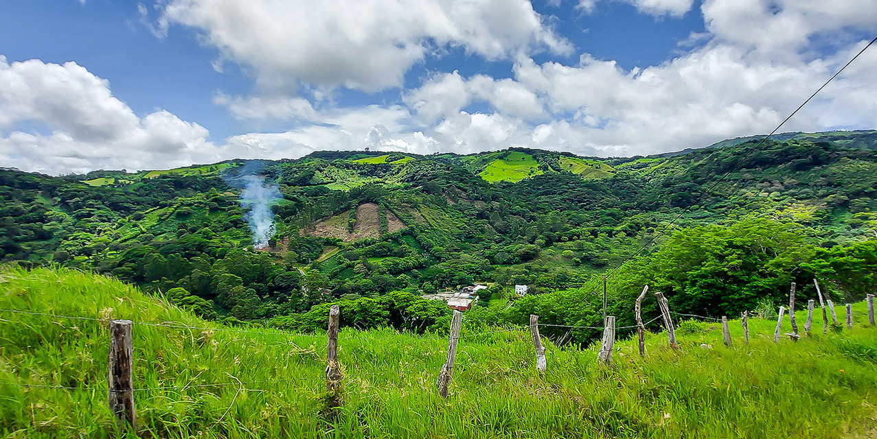 Coffee Mill Farm in Monteverde — photo