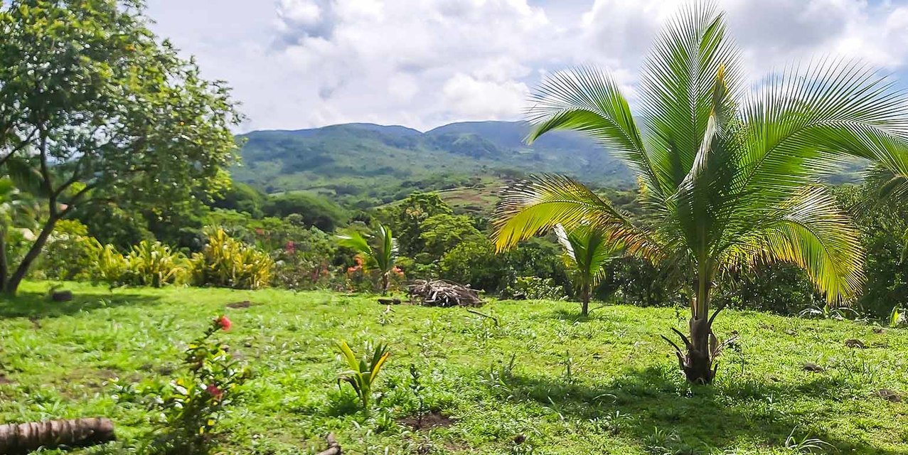 Miramar Farm in Puntarenas — photo