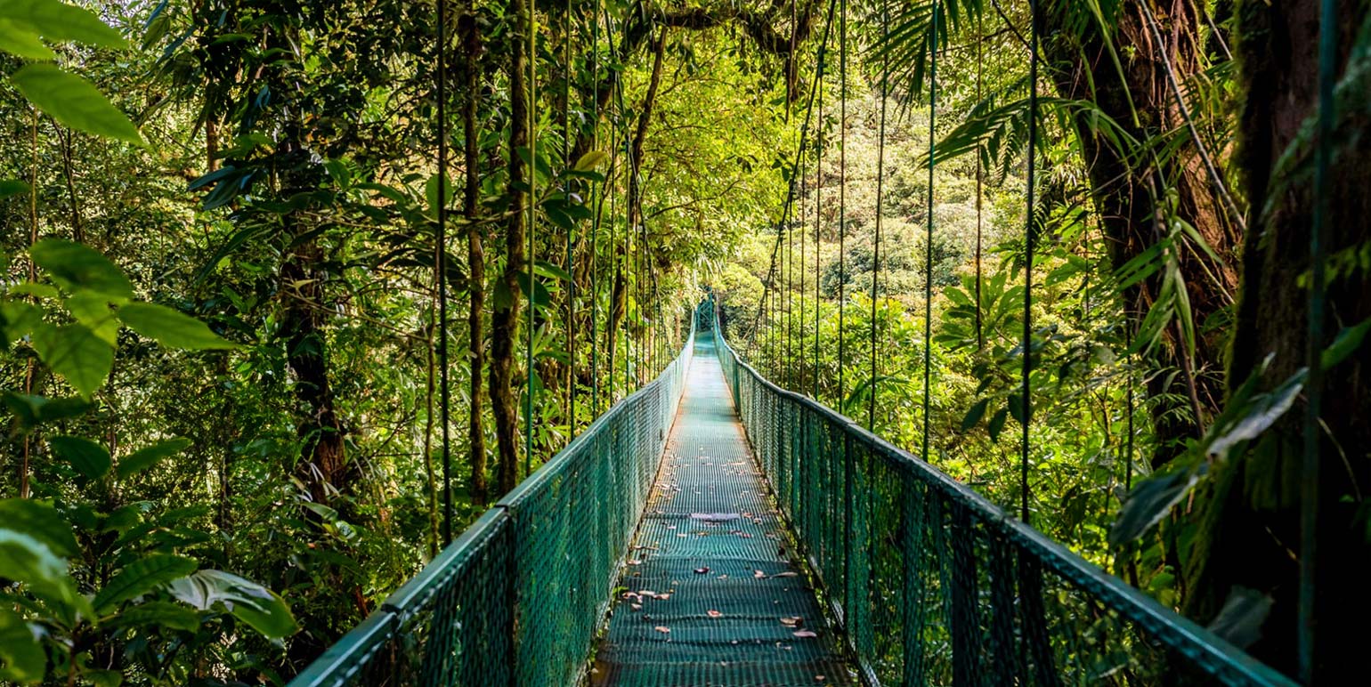 Monteverde