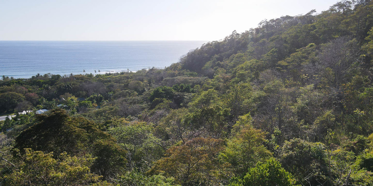 Ocean Luxury View in the hills of Playa Hermosa — photo