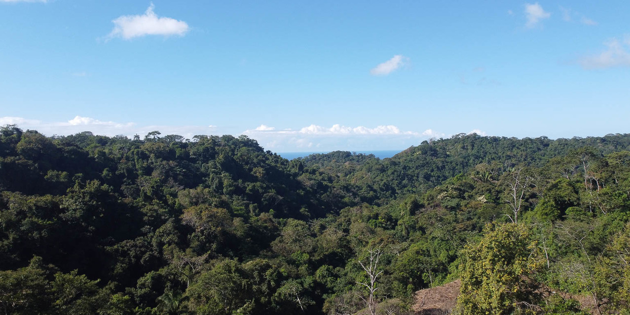 Terreno con Vista al Mar para Desarrollo en Santiago Cerca de Santa Teresa — photo