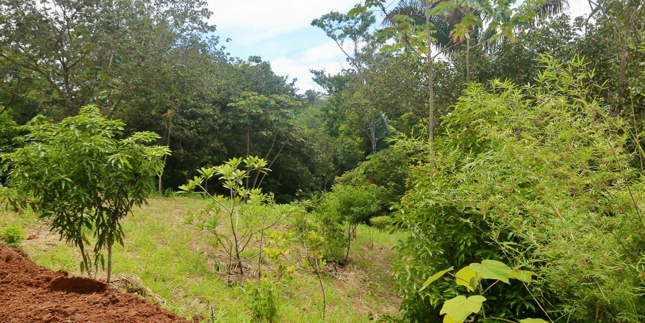 Eco-Village Homesites in San Isidro — photo