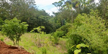 Eco-Village Homesites in San Isidro