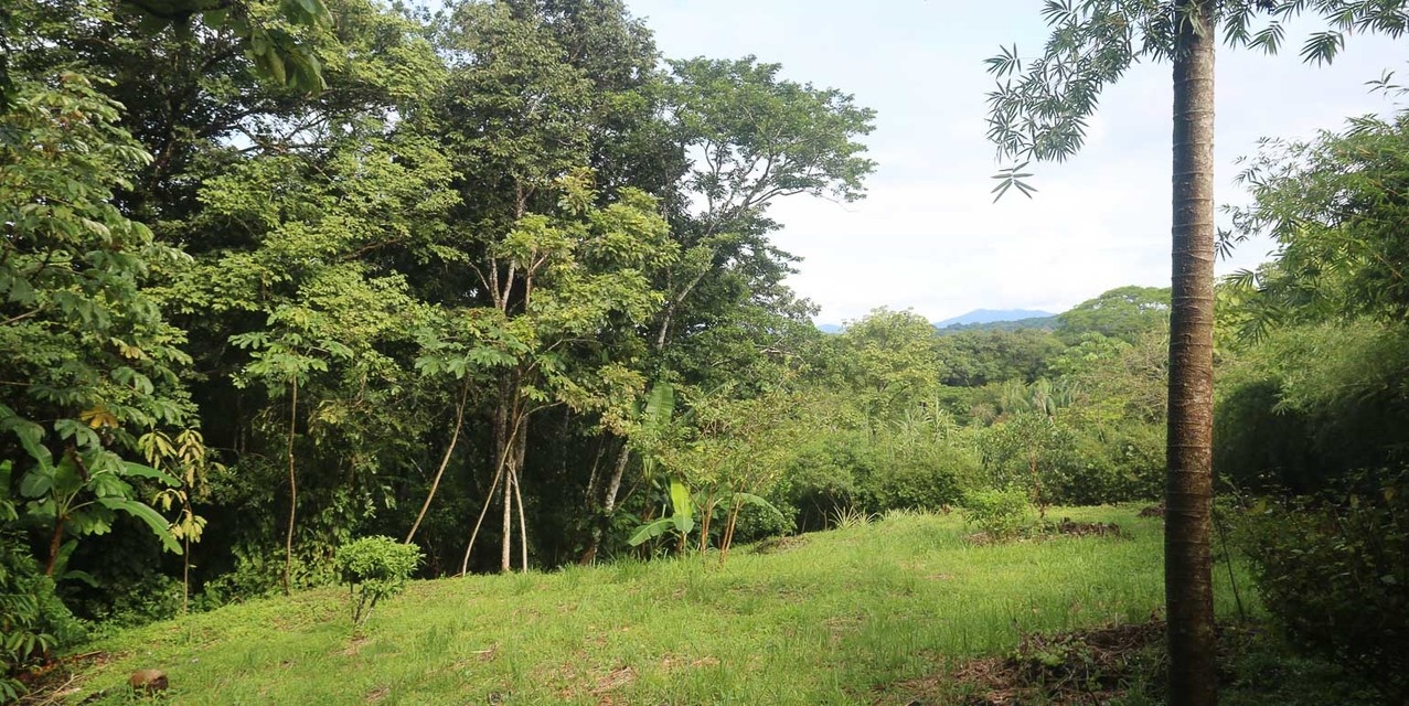 Nature-Focused Eco Residential Lots in Santiago — photo
