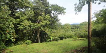Nature-Focused Eco Residential Lots in Santiago