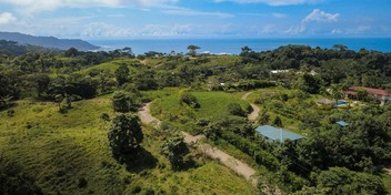 The Ark Jungle View Lot