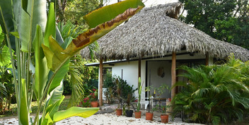 Jungle Retreat with Two Homes and Room for Expansion