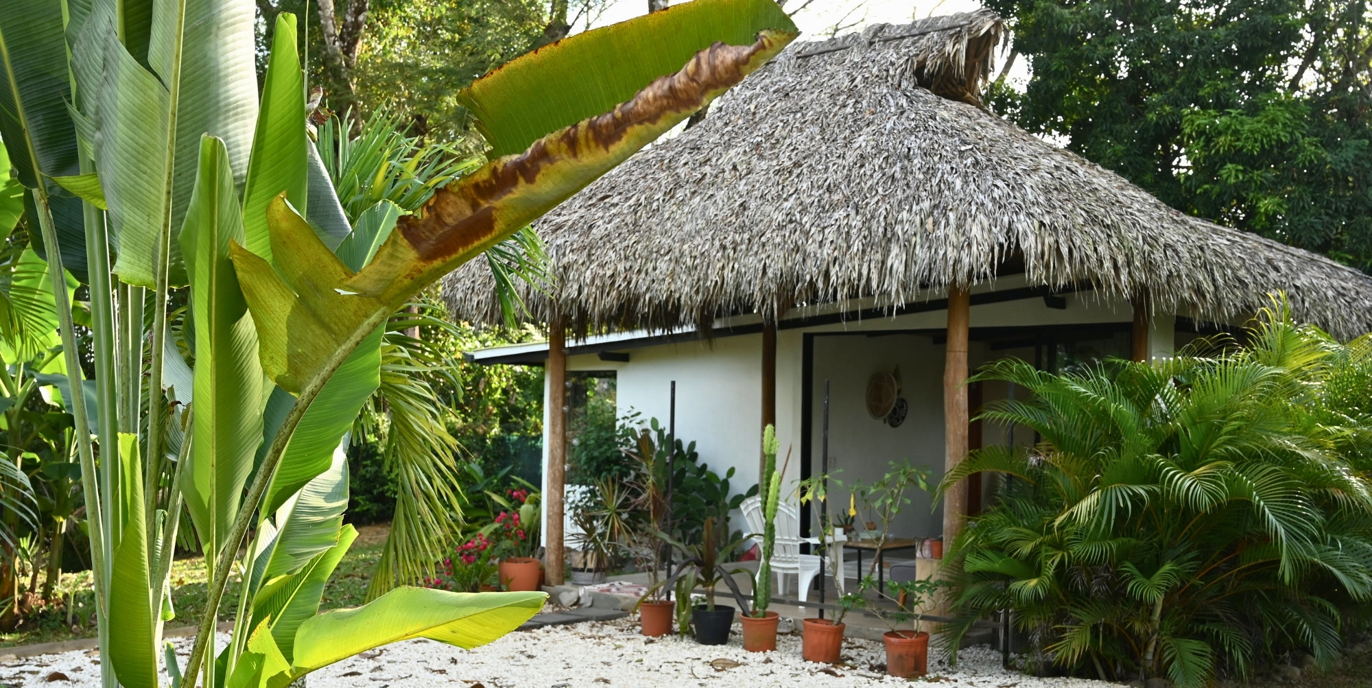 Property at San Isidro