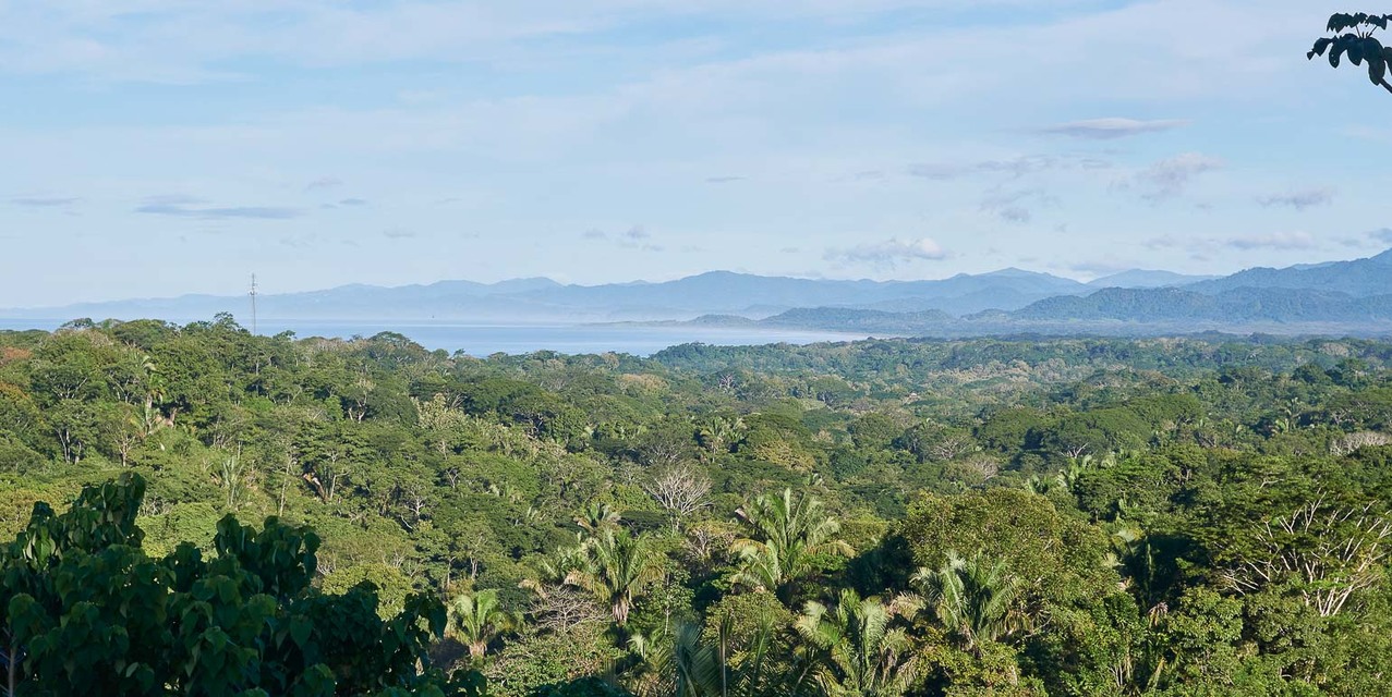 Elevated Estate Land with Panoramic Views in Santiago — photo
