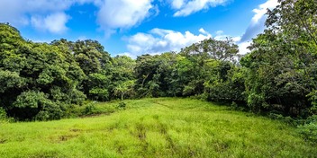 Build-Ready Commercial & Residential Land near Montezuma Beach