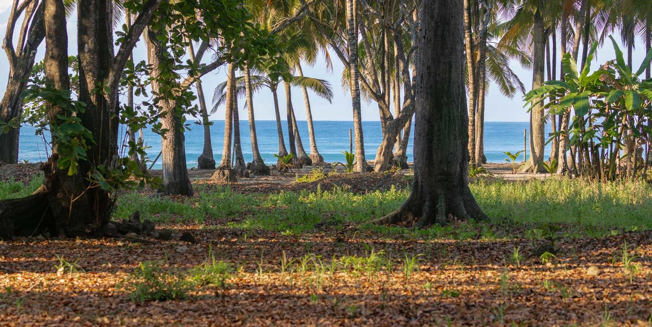 Exclusive Legacy Beachfront Parcel in Santa Teresa — photo