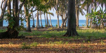 Exclusive Legacy Beachfront Parcel in Santa Teresa