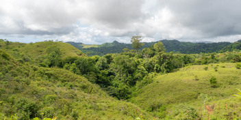 Prime Land in Osa