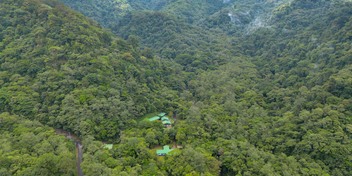 Bosque de Paz at Bajos del Toro