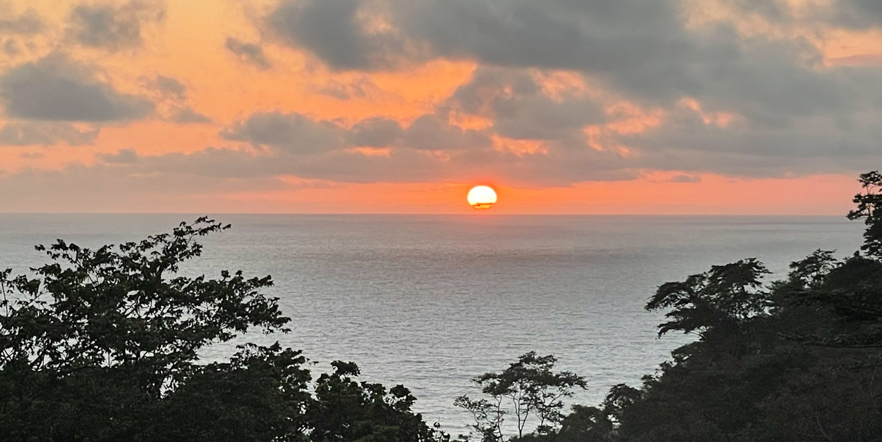 Signature Ocean & Jungle View Homesite in North Santa Teresa — photo