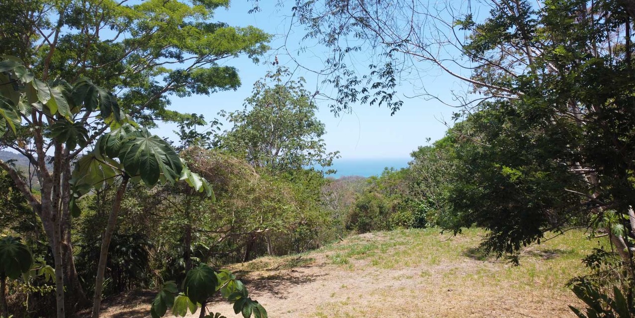 Private Oceanview Land Opportunity in Brisas del Cabo — photo