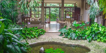 Lifetree Home in Los Laureles