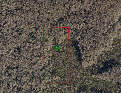 volusia-county-foreclosure-tax-deed-auctions-propertyonion-com