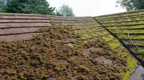 Driveway, Sidewalk & Concrete Cleaning