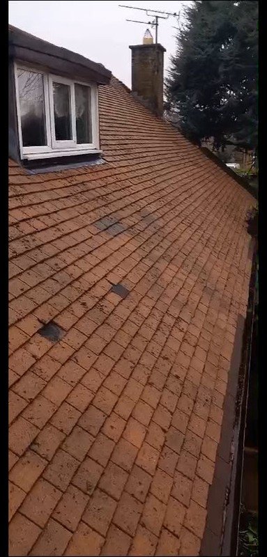 Seasonal Retail Property Maintenance