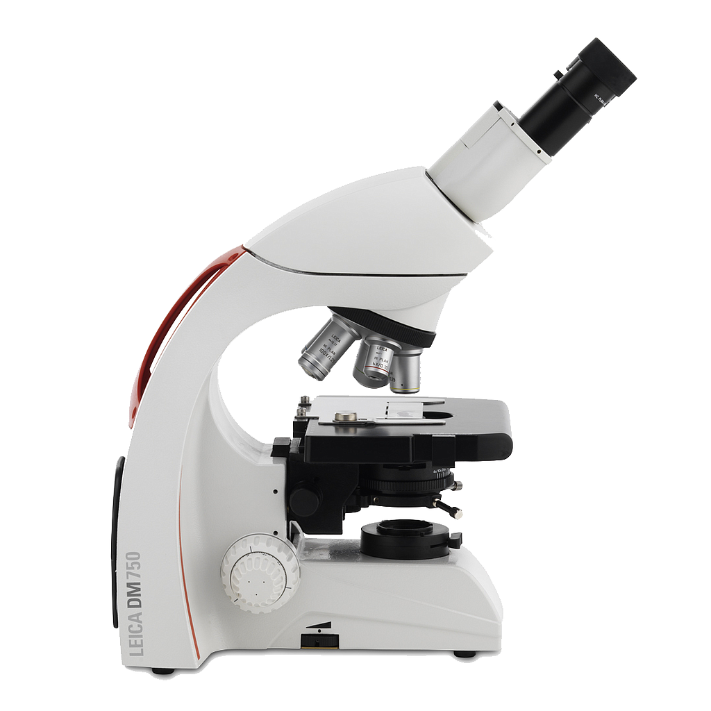 Binocular microscope 
