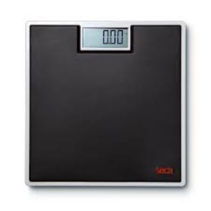 body weight scale 803