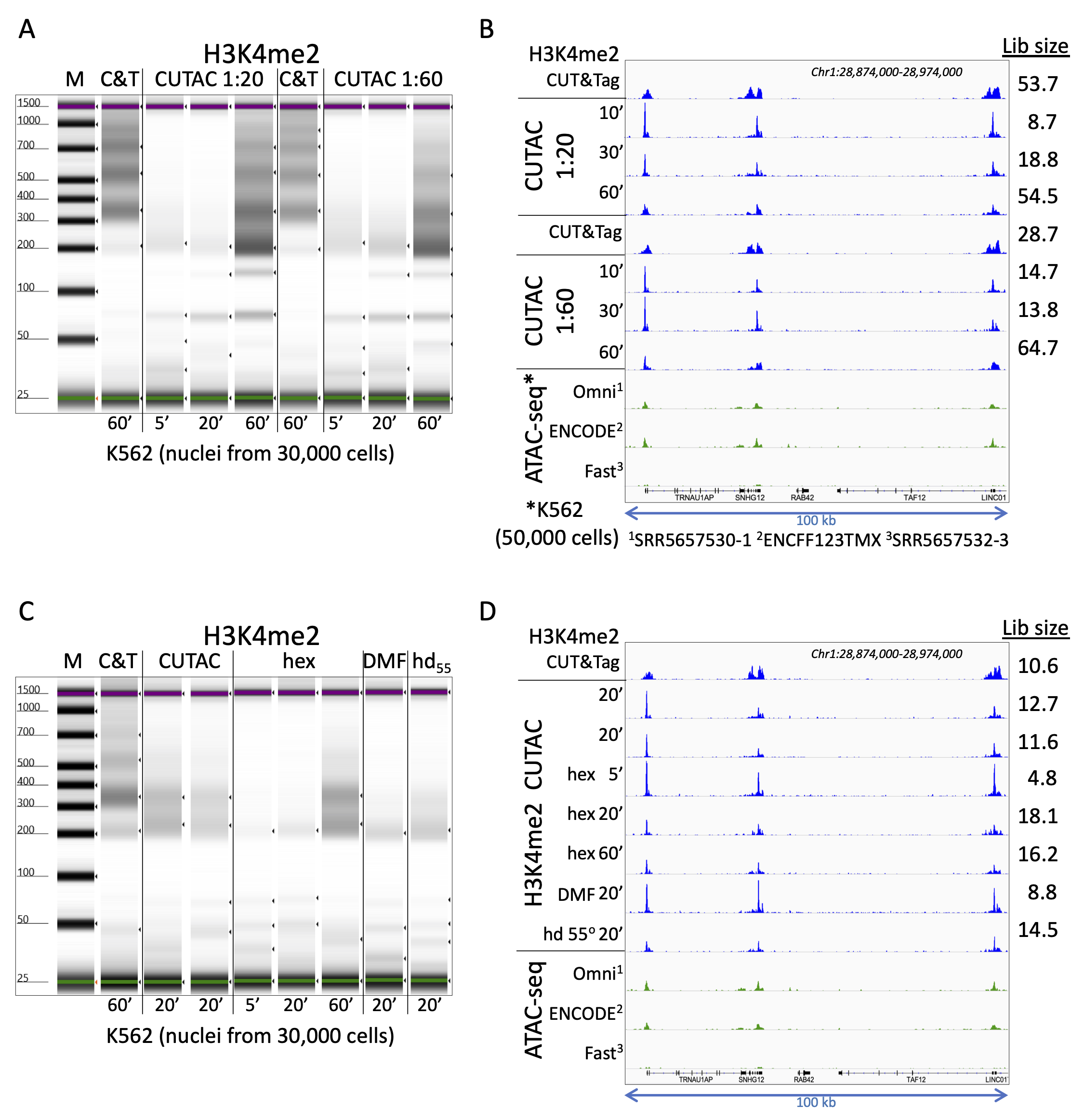 CUT&Tagdirect with CUTAC