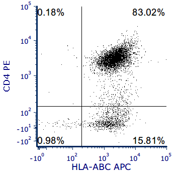 Activation of Human T cells with Phytohaemagglutinin (PHA)