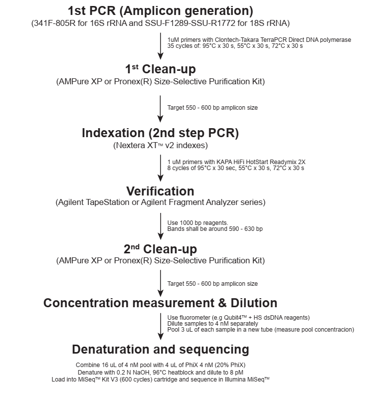 16s and 18s metabarcoding analysis for
