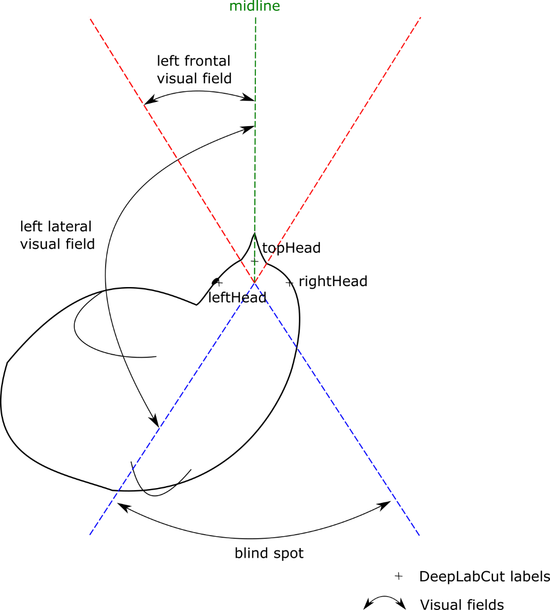 A step by step guide to using Visual Field Analysis