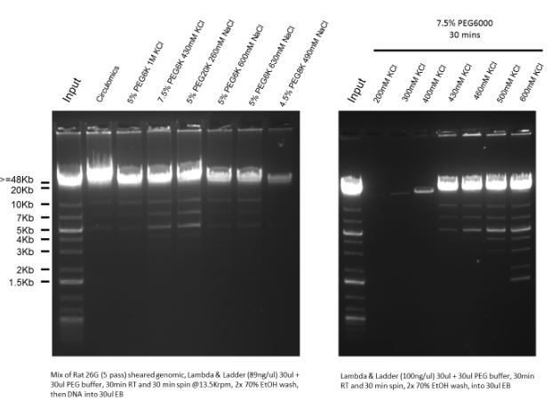 size selective precipitation of dna using peg salt