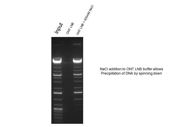 size selective precipitation of dna using peg salt