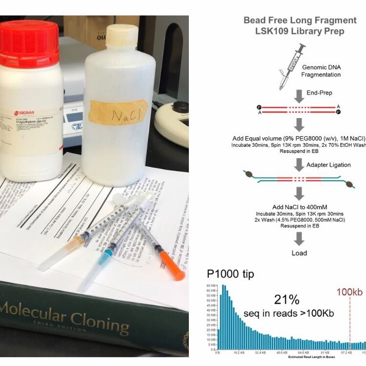 Size Selective Precipitation of DNA using PEG & Salt