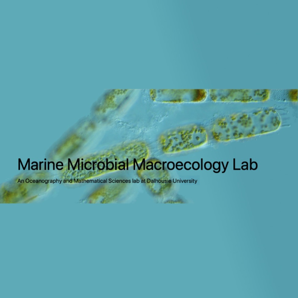 Total protein in microalgae Pierce BCA protein assay
