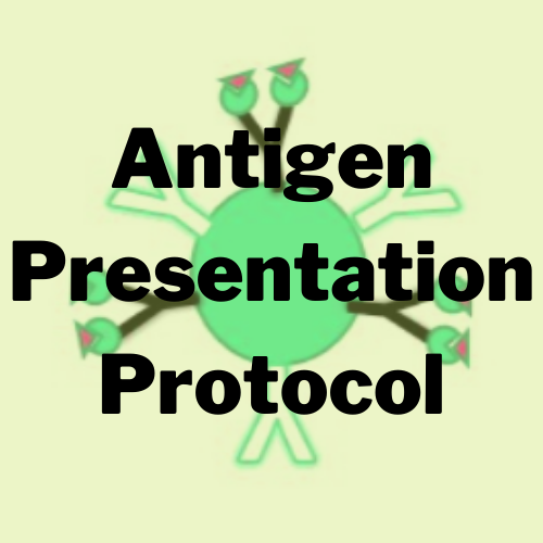 Antigen Presentation Protocol