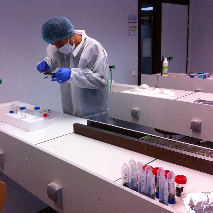 Extracellular DNA extraction