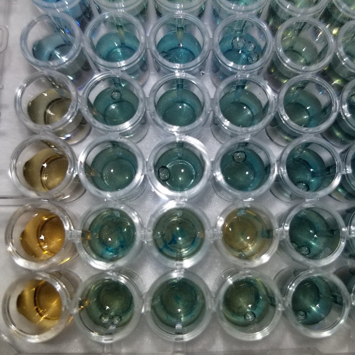 Microplate Assay for Quantification of Soluble Protein in Ground Coral