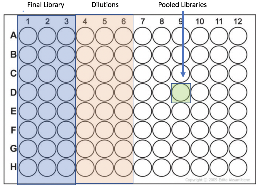 Illumina DNA Prep (M) Tagmentation Library Preparation for use on an ...