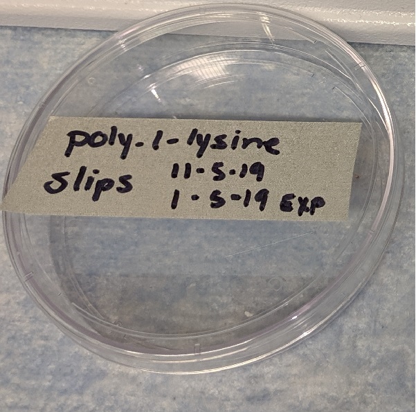 HuBMAP Tissue Sectioning for CODEX Specimens
