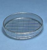 Fisherbrand™ Petri Dishes with Clear Lid or equivalent