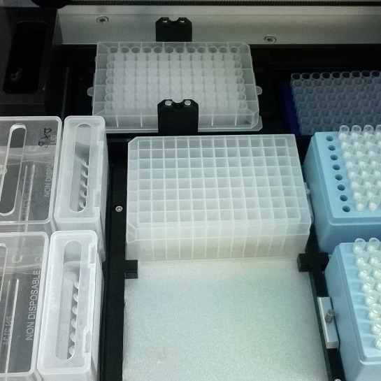Plant and fungal DNA extraction using a QIAGEN QIAxtractor